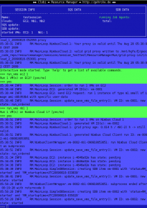 Clobi Resource Manager showing two started Virtual Machines