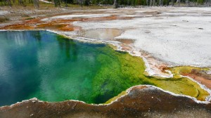 090902233138__montana_yellowstone_exkursion__P1040557